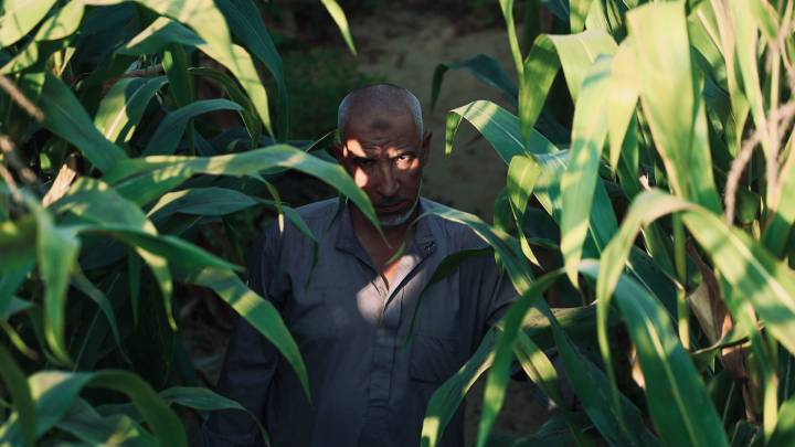 Landwirtschaft und Stromproduktion in Ägypten