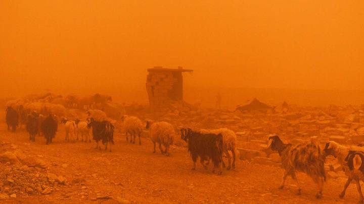 Agriculture, conflict and climate change in Iraq
